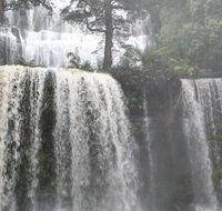 Small-group Tour from Hobart Derwent River Valley and Coal River Valley - Surfers Paradise Gold Coast