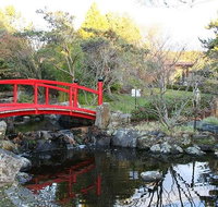 Small-group tour from Hobart Native Flora and Fauna incl. Royal Bot. Gardens - Surfers Paradise Gold Coast