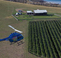 Bangor Vineyard Shed Helicopter Tour - Surfers Paradise Gold Coast