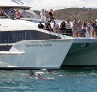 The Peppermint Bay Lunch Cruise from Hobart - Surfers Paradise Gold Coast