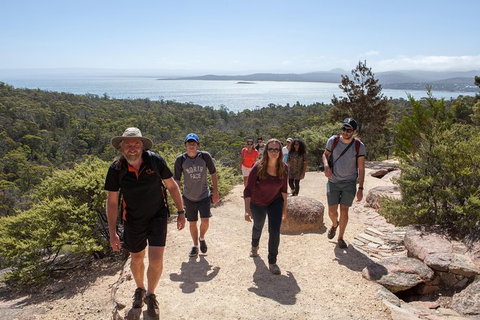 Active Day Tour One-Way From Hobart To Launceston With Wineglass Bay - Surfers Paradise Gold Coast 1