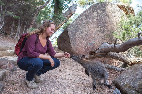Active Day Tour One-Way From Hobart To Launceston With Wineglass Bay - Surfers Paradise Gold Coast 9