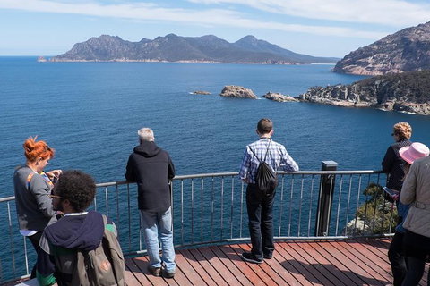 Full-Day Tour To Wineglass Bay From Hobart - Surfers Paradise Gold Coast 6