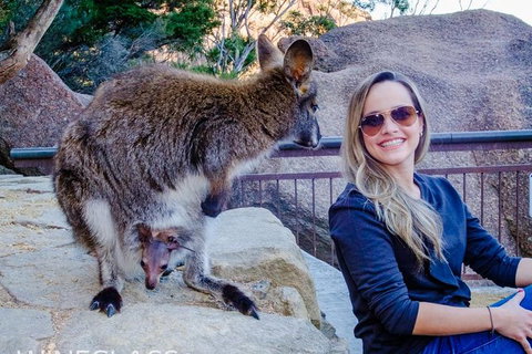 Full-Day Tour To Wineglass Bay From Hobart - Surfers Paradise Gold Coast 9