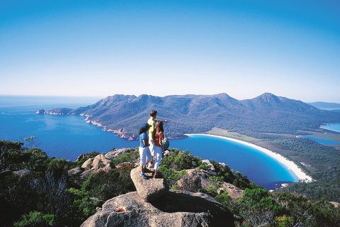Full-Day Tour To Wineglass Bay From Hobart - Surfers Paradise Gold Coast 2