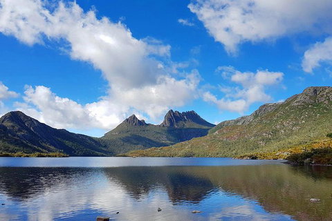 Tasmania 13 Day Premium Tour - Surfers Paradise Gold Coast 0