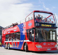Kunanyi/Mt Wellington Tour  Hobart Hop-On Hop-Off Bus - Surfers Paradise Gold Coast