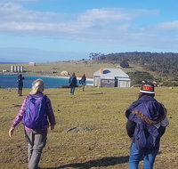 4-Day Hobart Adventure Tour Maria Island Cape Raoul Mount Field Cape Hauy - Surfers Paradise Gold Coast