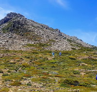 3-Day Hobart Adventure Tour Mount Field Cape Hauy and Hartz Peak - Surfers Paradise Gold Coast
