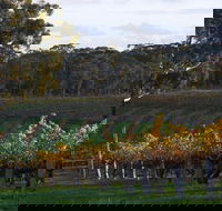 Barossa Valley with Hahndorf Tour from Adelaide - Surfers Paradise Gold Coast