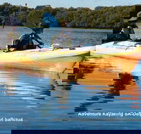 Adelaide Dolphin Sanctuary and Ships Graveyard Kayak Tour - Surfers Paradise Gold Coast