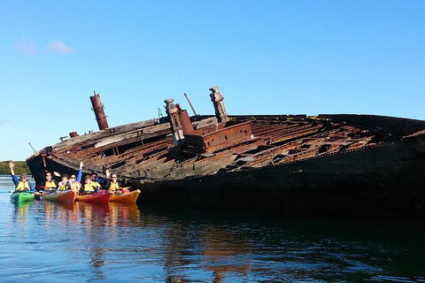 Adelaide Dolphin Sanctuary And Ships Graveyard Kayak Tour - Surfers Paradise Gold Coast 1