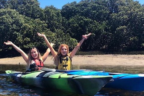 Adelaide Dolphin Sanctuary And Ships Graveyard Kayak Tour - Surfers Paradise Gold Coast 4