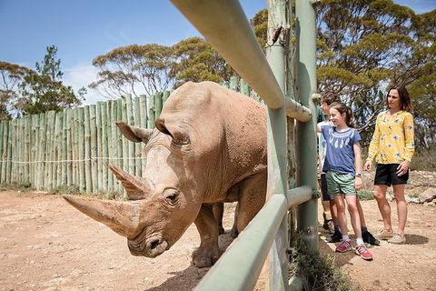 Rhino Interactive And A Day At Monarto Safari Park - Surfers Paradise Gold Coast 0