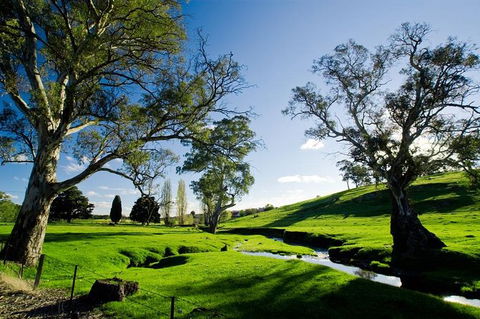 Adelaide Highlights And Hahndorf Tour With Optional River Cruise - Surfers Paradise Gold Coast 0