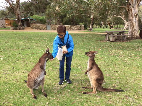 Adelaide Highlights And Hahndorf Tour With Optional River Cruise - Surfers Paradise Gold Coast 3
