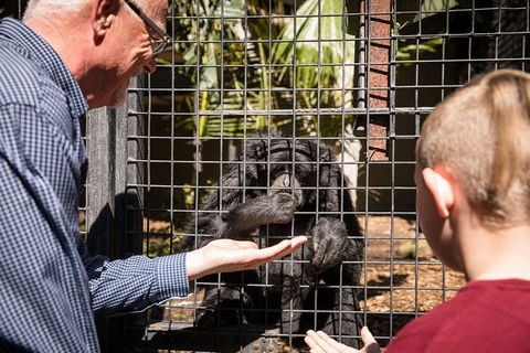 Adelaide Zoo Behind The Scenes Experience: Meet The Primates - Surfers Paradise Gold Coast 1