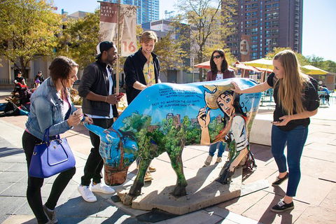 Adelaide Scavenger Hunt: Adelaide Adventure - Surfers Paradise Gold Coast 1