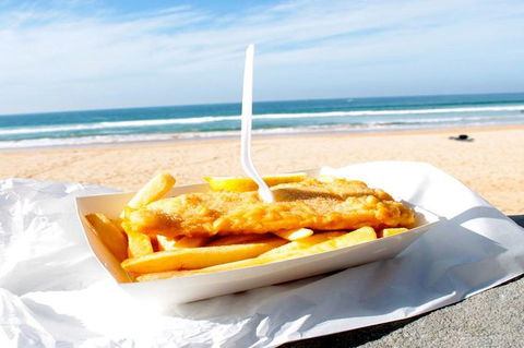 Adelaide Beach Tour - Surfers Paradise Gold Coast 1