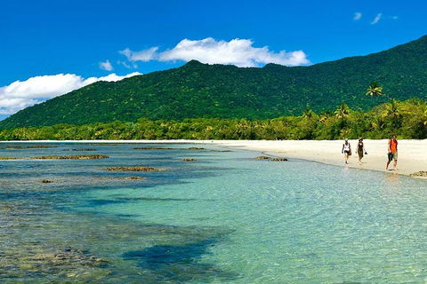 5-Day Best Of Cairns With Daintree, Kuranda, And Great Barrier Reef - Surfers Paradise Gold Coast 7