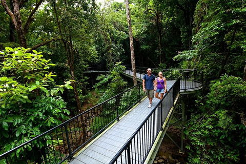 5-Day Best Of Cairns With Daintree, Kuranda, And Great Barrier Reef - Surfers Paradise Gold Coast 4
