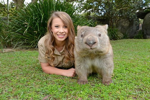 Croc Express To Australia Zoo From Brisbane - Surfers Paradise Gold Coast 0