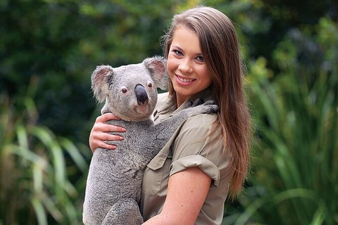 Croc Express To Australia Zoo From Brisbane - Surfers Paradise Gold Coast 7