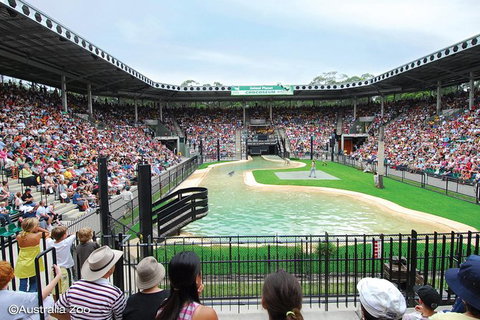 Croc Express To Australia Zoo From Brisbane - Surfers Paradise Gold Coast 12