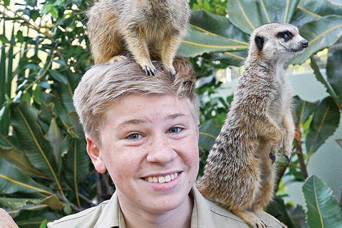 Croc Express To Australia Zoo From Brisbane - Surfers Paradise Gold Coast 9