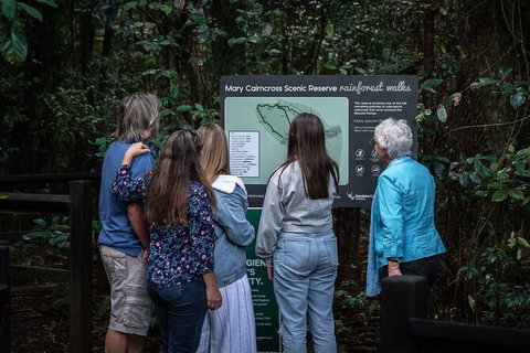 Sunshine Coast Hinterland And Noosa Day Trip From Brisbane Including Eumundi Markets And Ginger Factory - Surfers Paradise Gold Coast 4