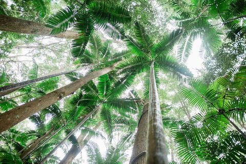 All-Inclusive 2-Day Fraser Island Tour - Surfers Paradise Gold Coast 8