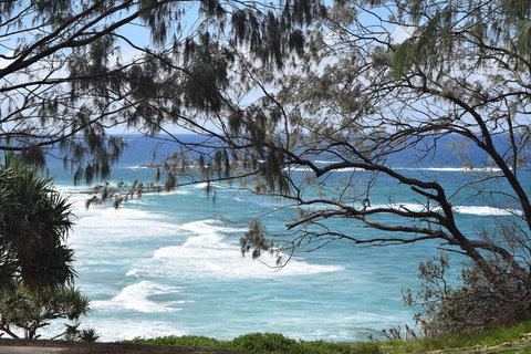 North Stradbroke Island Day Trip From Brisbane - Surfers Paradise Gold Coast 12