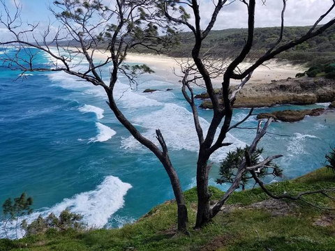 North Stradbroke Island Day Trip From Brisbane - Surfers Paradise Gold Coast 5