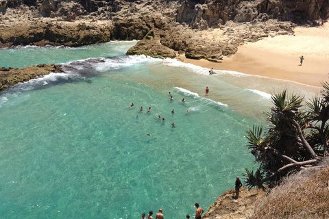 North Stradbroke Island Day Trip From Brisbane - Surfers Paradise Gold Coast 1