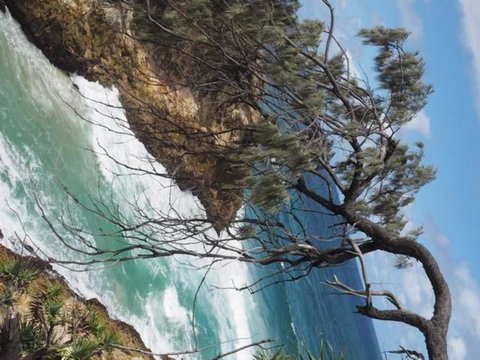 North Stradbroke Island Day Trip From Brisbane - Surfers Paradise Gold Coast 16