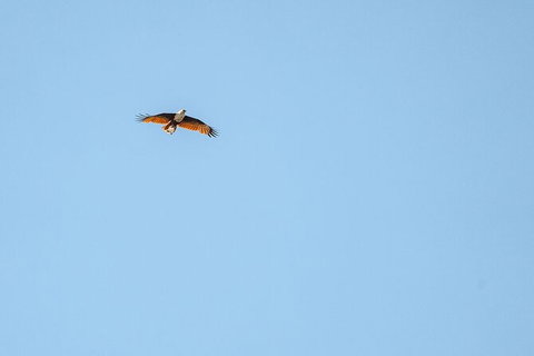 North Stradbroke Island Day Trip From Brisbane - Surfers Paradise Gold Coast 32