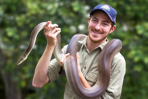 Lone Pine Koala Sanctuary Day Pass - Surfers Paradise Gold Coast 1