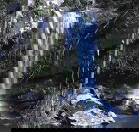 You Choose the Tour Brisbane Private Chauffeur Driven Personal Tour - Surfers Paradise Gold Coast