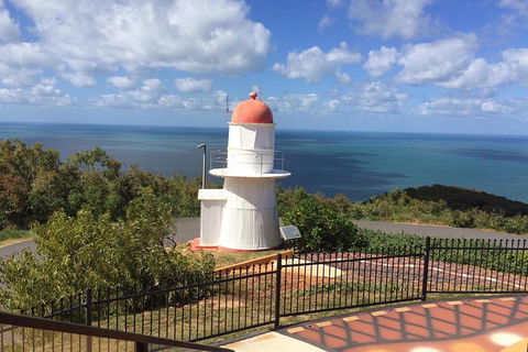 Daintree - Cape Tribulation & Atherton Tablelands Tours From Port Douglas - Surfers Paradise Gold Coast 21