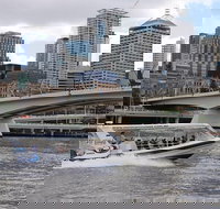 Koala Express to Lone Pine Koala Sanctuary - Surfers Paradise Gold Coast