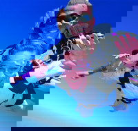 Brisbane Tandem Sky Dive - Surfers Paradise Gold Coast