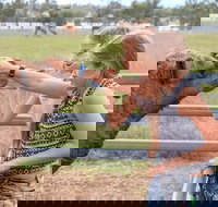 Camel Farm Deluxe Experience - Surfers Paradise Gold Coast