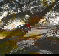 Brisbane Bike Tour - Surfers Paradise Gold Coast