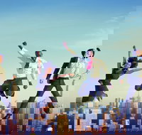 Luxury Movie World Transfers To and From Brisbane CBD Hotel for up to 4 ppl - Surfers Paradise Gold Coast