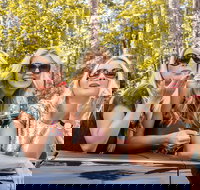 Luxury Brisbane Airport Transfers To and From Surfers Paradise for up to 11 Per - Surfers Paradise Gold Coast