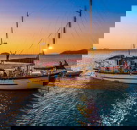 Stray Australia Brisbane to Cairns Freestyle Tour - Surfers Paradise Gold Coast