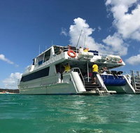 Eco Marine Safari - Boom netting  Snorkeling Moreton Island - Fortitude Valley - Surfers Paradise Gold Coast
