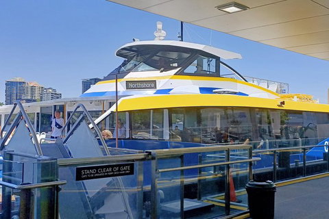 Brisbane City Essentials Walking Tour - Surfers Paradise Gold Coast 8