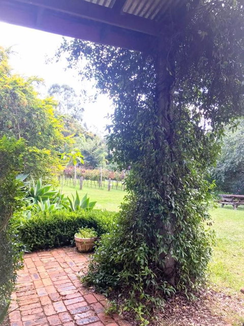 Deluxe Winery Tour To Tamborine Mountain, Includes Gourmet Two Course Lunch - Surfers Paradise Gold Coast 4
