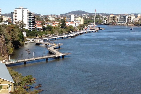 Brisbane City Highlights With Lone Pine! - Surfers Paradise Gold Coast 4